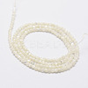 Natural White Shell Beads G-N0190-11-2mm-3