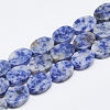 Natural Blue Spot Jasper Beads Strands G-T122-04M-1
