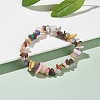 Natural & Synthetic Mixed Chips Beads Stretch Bracelet for Women BJEW-AL00003-07-2
