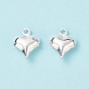 304 Stainless Steel Charms STAS-I138-11A-S-3