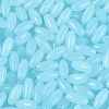 Opaque Colours Glass Seed Beads SEED-T007-16E-2