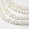 Dyed Natural Freshwater Shell Rondelle Bead Strands X-BSHE-O016-19D-1