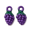 Baking Paint Alloy Pendants FIND-G097-04B-1
