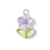 Transparent Acrylic Pendants PALLOY-JF03713-02-3