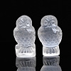 Owl Natural Selenite Figurines DJEW-PW0021-10-2