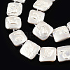 Plating Natural Freshwater Shell Beads Strands SHEL-N026-230B-3