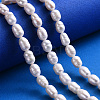 Natural Cultured Freshwater Pearl Beads Strands X-PEAR-R064-20-5