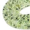 Natural Prehnite Beads Strands G-A260-A34-01-3