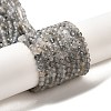 Natural Rainbow Moonstone Beads Strands LS-G-R475-025D-1