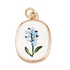 Brass Enamel Pendants LS-ENAM-I087-02B-1
