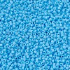 MIYUKI Delica Beads SEED-JP0008-DB0879-3