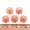Transparent Acrylic Beads TACR-S154-19A-84-4