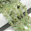 Natural Prehnite Beads Strands X-G-P332-41A-5