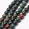 Natural Indian Bloodstone Beads Strands G-G735-33-6mm-1