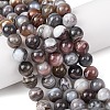 Natural Botswana Agate Beads Strands G-G453-A01-12mm-1