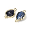 Dyed Natural Lapis Lazuli Faceted Connector Charms G-L514-048P-11-2