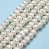 Natural Cultured Freshwater Pearl Beads Strands PEAR-F018-17D-02-2
