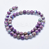 Natural Imperial Jasper Beads Strands X-G-I122-10mm-15-2