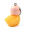 Resin Pendants FIND-U031-13A-P-2