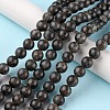 Natural Labradorite Beads Strands G-G0003-C03-10mm-2