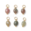 Natural Indian Agate Oval Charms PALLOY-JF04942-1