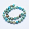 Natural Aqua Terra Jasper Beads Strands G-E444-14A-12mm-2