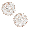 2Pcs Alloy Rhinestone Shoe Decorations AJEW-FG0003-72B-1
