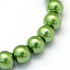 Baking Paint Pearlized Glass Pearl Round Bead Strands X-HY-Q330-8mm-13-2