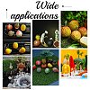  10Pcs 10 Styles Imitation Fruit Resin Display Decorations DJEW-NB0001-34-6