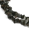 Natural Green Rutilated Quartz Beads Strands G-Q060-C03-4