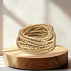 5M Braided Round PU Leather Jewelry Cord OCOR-GF0004-96A-03-7