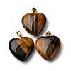 Natural Tiger Eye Pendants G-G287-01G-06-1