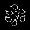 Iron Leverback Earring Findings EJEW-WH0014-02P-1