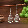 Resin & Alloy Dangle Earrings WGE62B3-01-1
