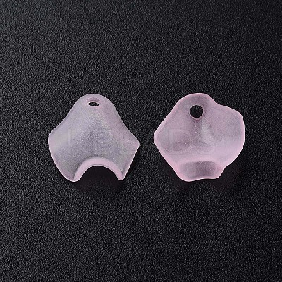 Transparent Acrylic Beads LS-X-MACR-S373-106-D05-1