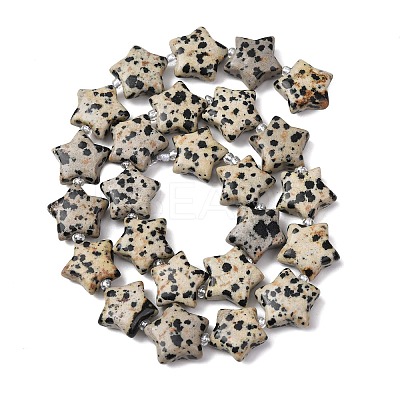 Natural Dalmatian Jasper Beads Strands G-K359-E12-1
