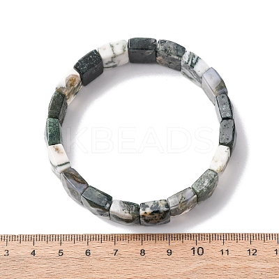 Rectangle Natural Tree Agate Beads Stretch Bracelets for Women Men BJEW-Z149-01C-1