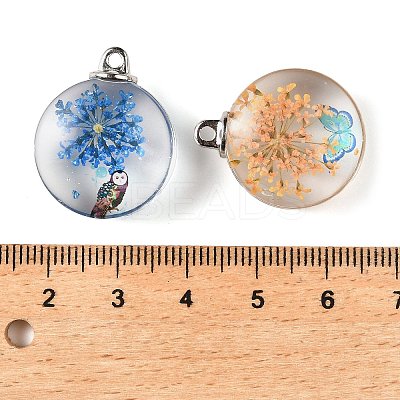 Transparent Glass Pendants GLAA-M048-06-1