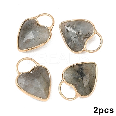 2Pcs Natural Labradorite Faceted Pendans KK-YW0003-63C-1