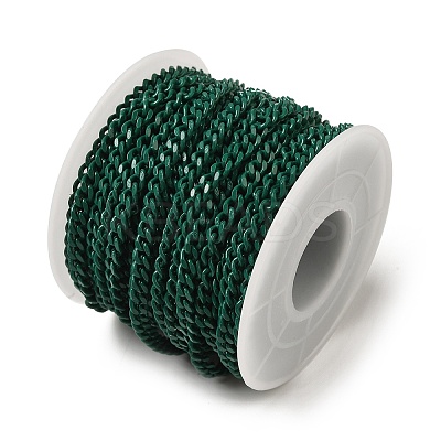 Spray Painted 304 Stainless Steel Curb Chains STAS-B067-05B-07-1