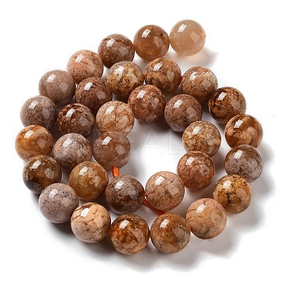 Natural Flower Agate Beads Strands G-B044-A01-04-1