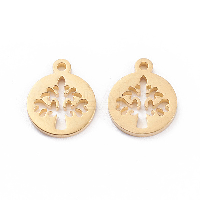 304 Stainless Steel Charms STAS-I151-42G-1
