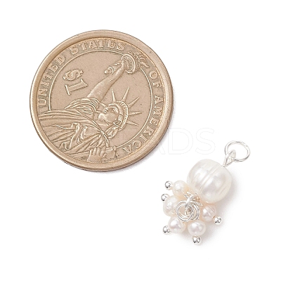 Potato Natural Cultured Freshwater Pearl Pendants PALLOY-JF04749-02-1