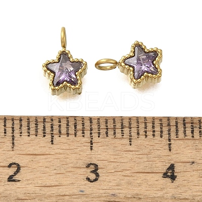 304 Stainless Steel Micro Pave Cubic Zirconia Charms STAS-U027-02G-03-1