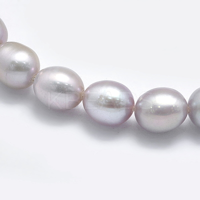 Natural Cultured Freshwater Pearl Beads Strands PEAR-K003-23B-01-1