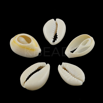 Natural Mixed Cowrie Shell Beads X-BSHE-S051-01-1