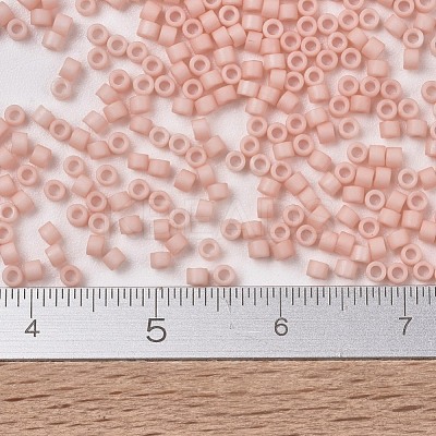 MIYUKI Delica Beads X-SEED-J020-DB1513-1