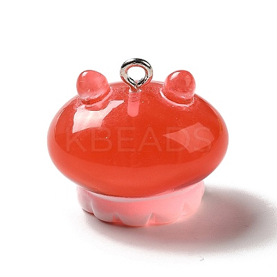 Marine Series Transparent Resin Pendants RESI-E031-02P-04-1
