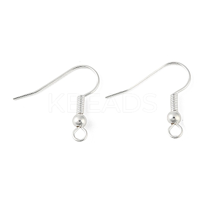 Brass Earring Hooks KK-H258-06A-S-1