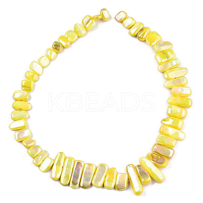 Natural Freshwater Shell Beads Strands X-SHEL-N026-123A-1